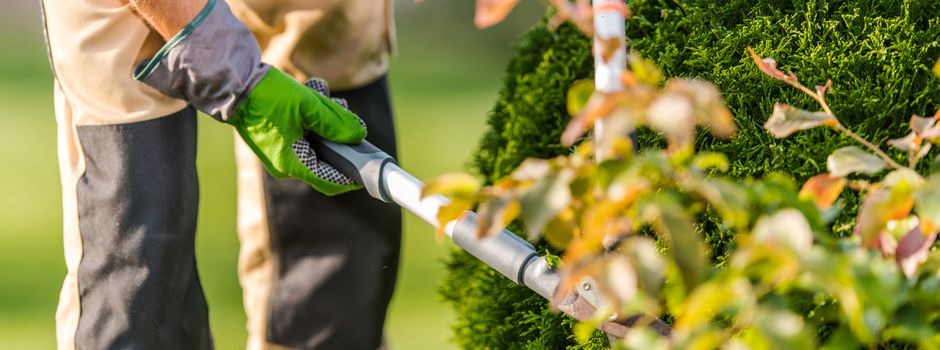 Grünpflegearbeiten im Auftrag der Stadtverwaltung Gehrden