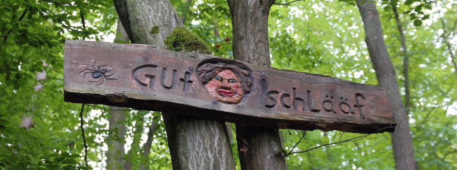 Ausflugsziele in und um Mainz