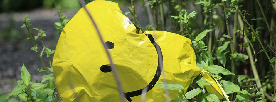 Eimsheim ruft zum "Anpacktag": Gemeinde soll vom Laub befreit werden