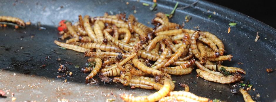 Mehlwürmer als Zutat im Brot? Das sagen die Mainzer Bäckereien