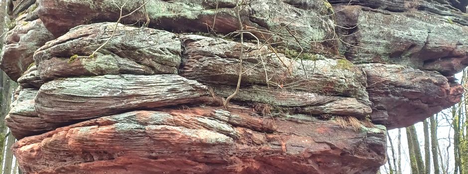 Unterwegs auf dem Premiumwanderweg Pirmasenser Felsenwald