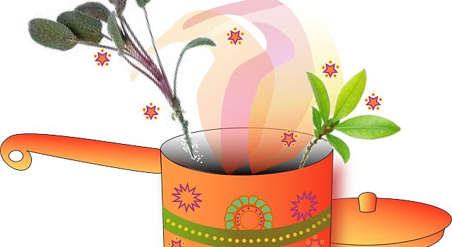 Kochen mit Jana Schäfer