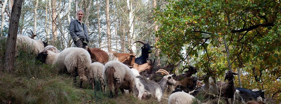 2. Kleiner Naturschutztag im Naturpark Hoher Fläming