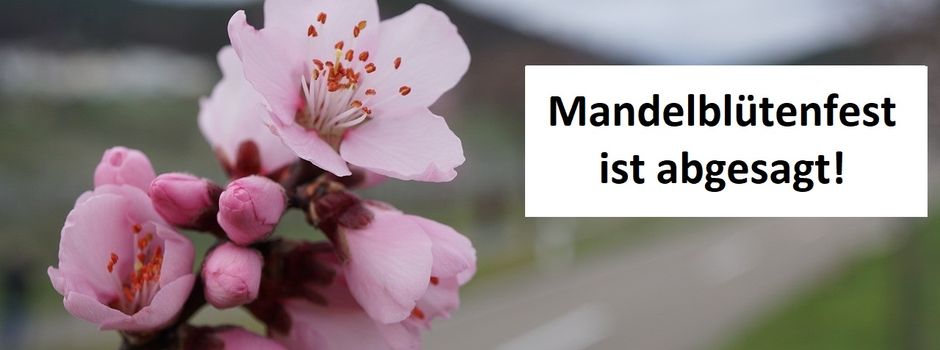 2. Mandelblütenfest ist abgesagt