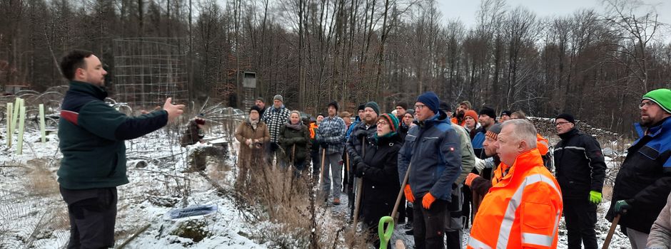 Wiederaufforstung – Aktionstag am Samstag, d. 21. Februar 2026 