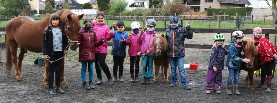 Schlechte Aussichten für die Ponyinsel in Mondorf