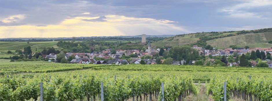 Spiel, Spaß und Genuss: 1. FC und Landfrauen laden zum Schwabsburger Sommerfest
