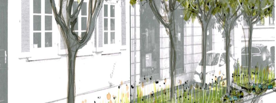 Diese Flächen in Mainz sollen jetzt entsiegelt werden