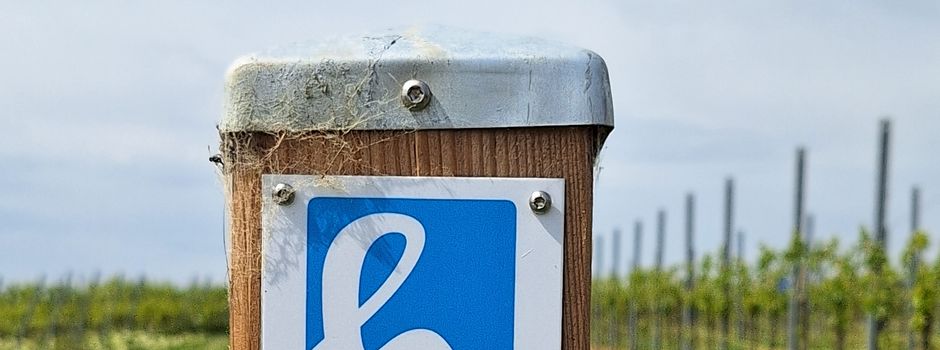Eröffnung der Hiwweltour Saulheimer Hölle - Pressebericht der VG