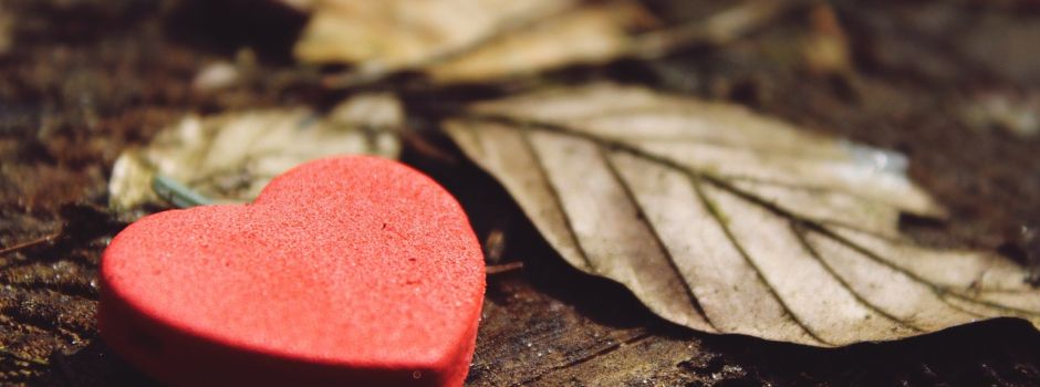 Staunen über Dankbarkeit zur Weihnachtszeit