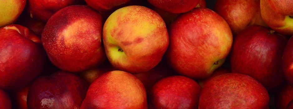 Apfelannahme bis 18.10.2025