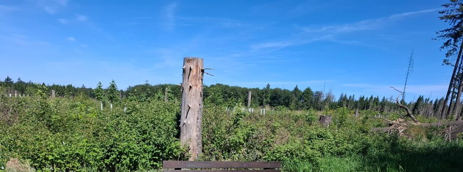Vorbildlich und engagiert