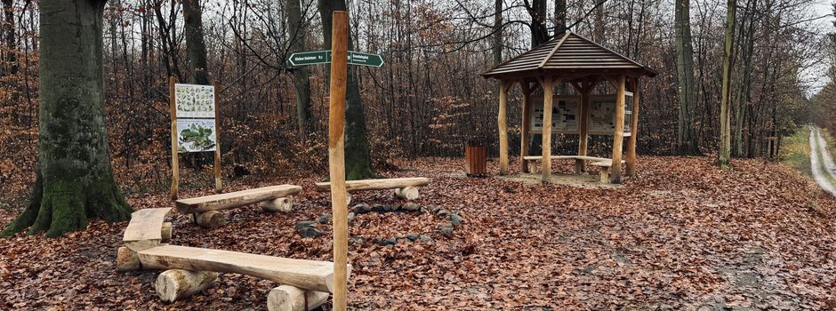 Viel Neues rund um den Steintanz