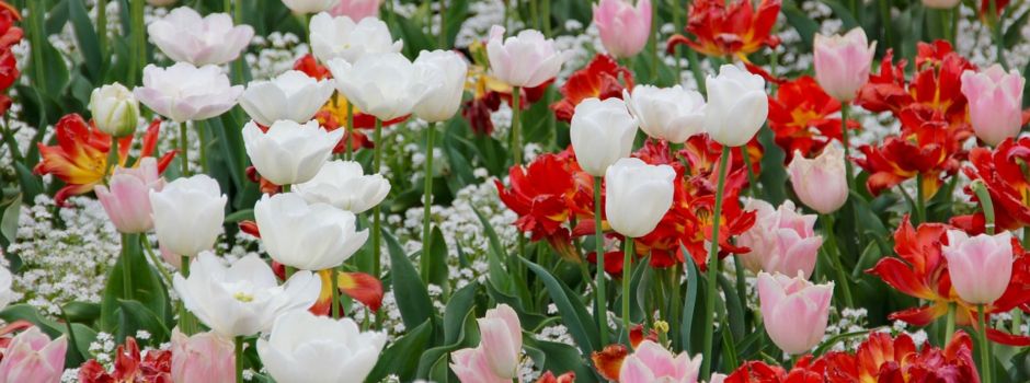 FAHRT LANDESGARTENSCHAU 13.07.2024