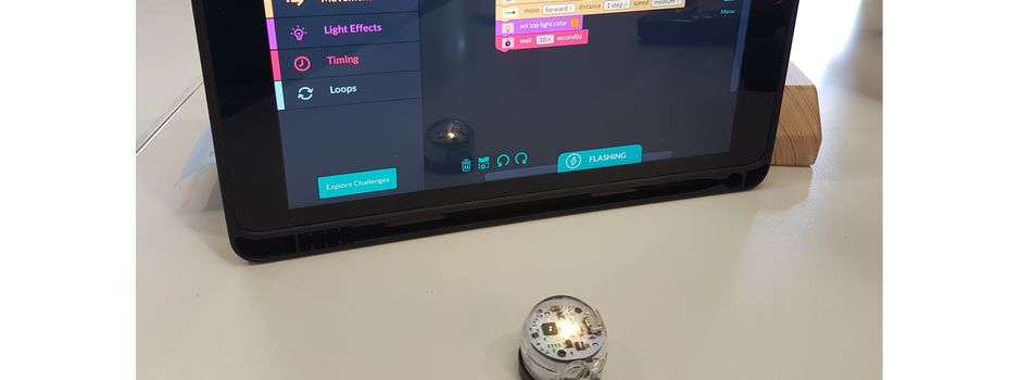 Programmieren mit Ozoblockly
