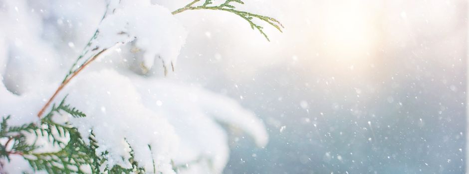 Es schneit, es schneit, schippt alle fleißig mit!