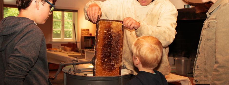 Ameisen- und Bienentag in Ehrhorn