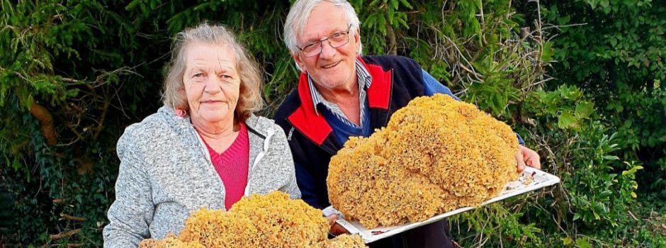 15 Kilo schwere „Fette Henne“ gefunden