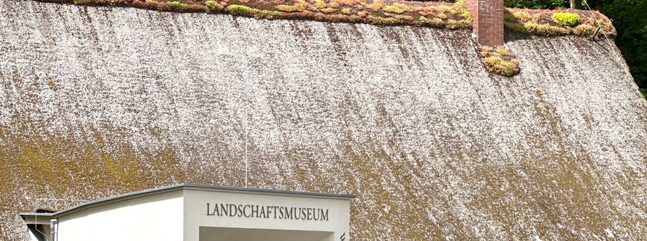 Wandergruppe Mudenbach | 
Nachlese zur Wanderung am 01. Juli 2026 - Umgebung Hachenburg: Landschaftsmuseum – Philosophenweg – Lange Schneise – Ziegelhütter Weg