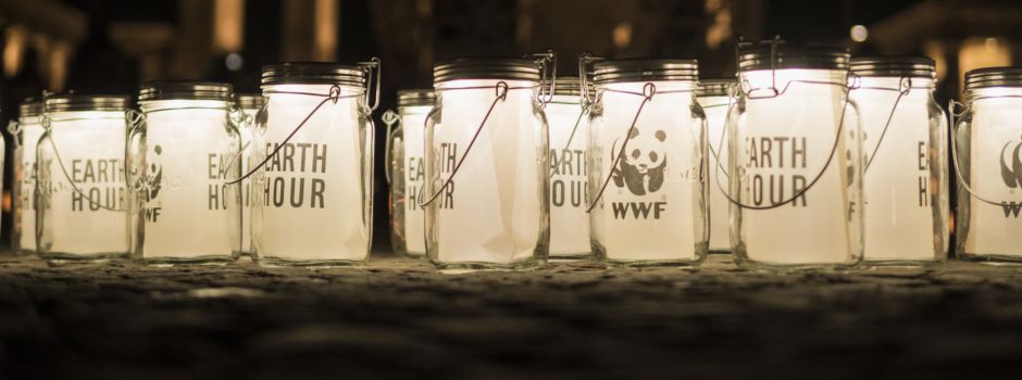 Elsenztal-Gemeinden setzen erneut ein Zeichen für den Klimaschutz