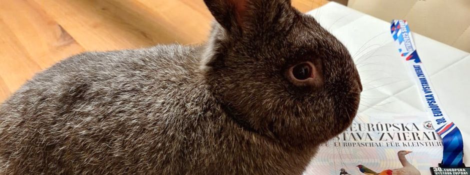 Europameister in Friedland