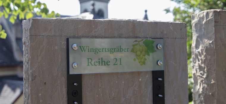 Beisetzung zwischen Weinreben: Neue „Schorlegräber“ in Mainz