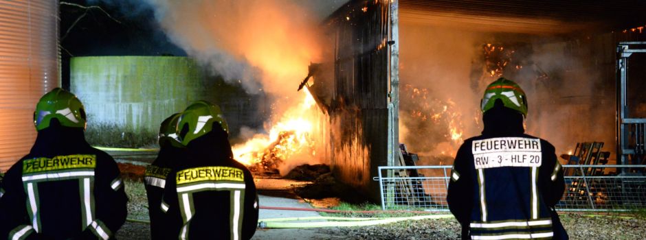 Schweine sterben bei Großbrand