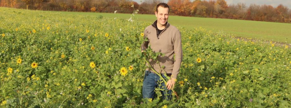 Niederkasseler Landwirte legten 18 Hektar blühende Zwischenfrüchte an