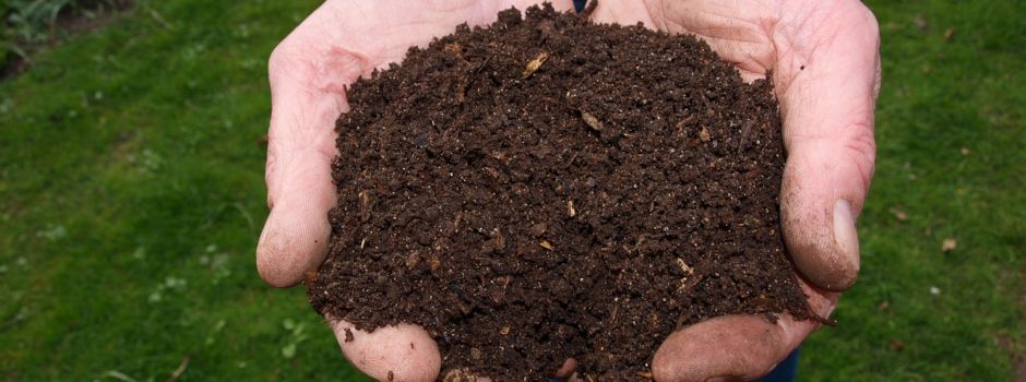 Den Weg vom Bioabfall zu Kompost hautnah erleben