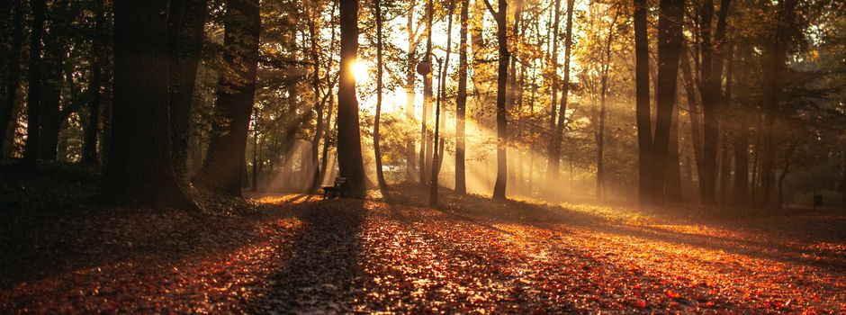 Spielspaß, Musik, Kultur & Natur: Das geht am Wochenende
