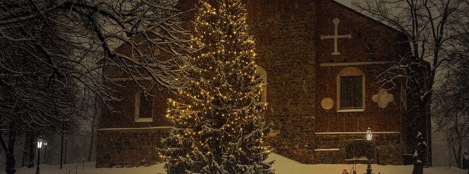 Weihnachtsbaumabfuhr 2026