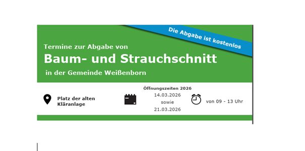 Baum- und Strauchschnitt-Annahme in Weißenborn