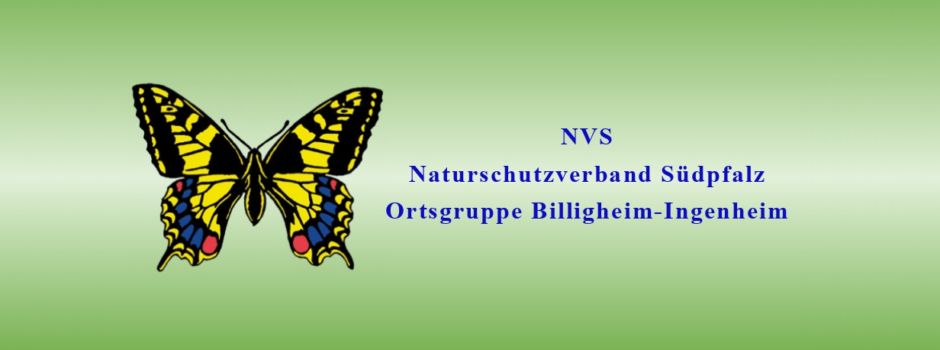 Jahreshauptversammlung NVS und Ergebnis Vorstandswahl