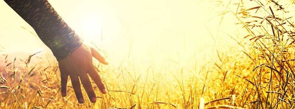 Workshop: Unterstützende Behandlungsansätze bei weiblichen Depressionen