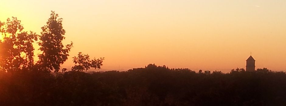 Von der Gnade der späten Geburt: Der Mainzer Franz Schek