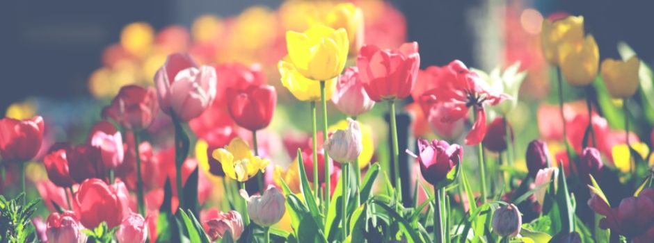 Das Wochenende zum Frühlingsanfang in Augsburg