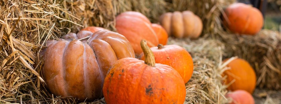 „Halloween und Hallelujah“