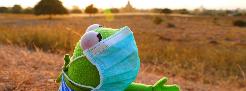 Diese Firmen versorgen Dich mit einer Gesichtsmaske