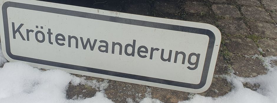 Wanderungszeit der Amphibien beginnt