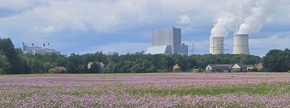 Geruchsbelästigungen im Ortsteil Zerre