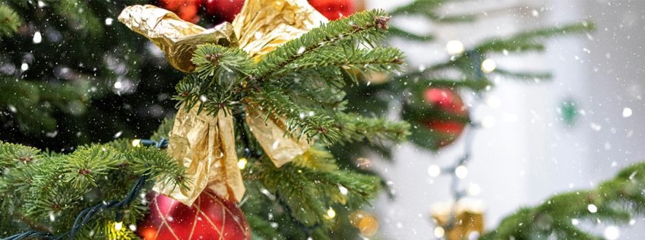 „An die Bäumchen, fertig, los“: Paten für 20 Weihnachtsbäume auf dem Oppenheimer Marktplatz gesucht