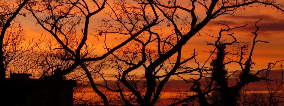 Brandstiftung in Alzey: Polizei sucht nach Zeugen