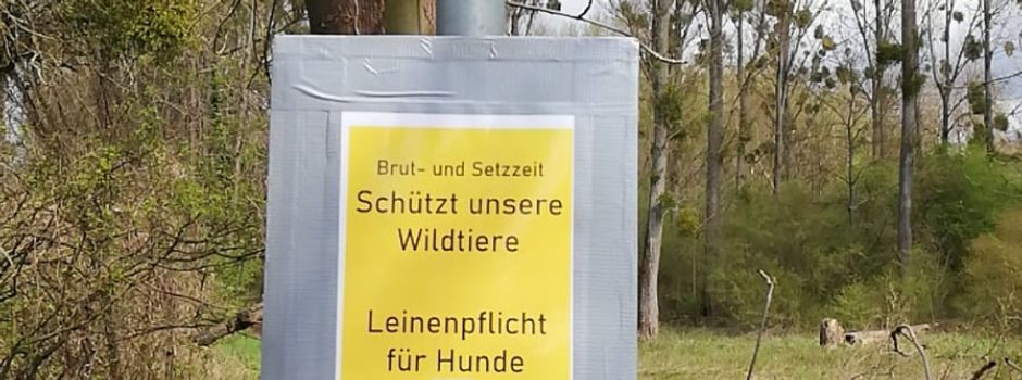 Stadt Oppenheim mahnt Leinenpflicht für Hunde an - Brut- und Setzzeit im Wäldchen