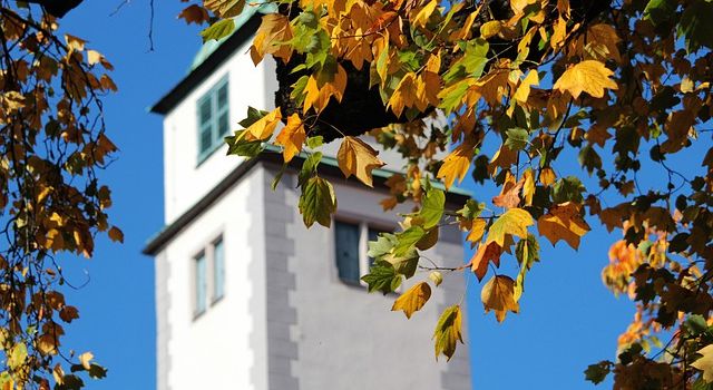 Führungen in Augsburg, die ihr diesen Herbst machen könnt