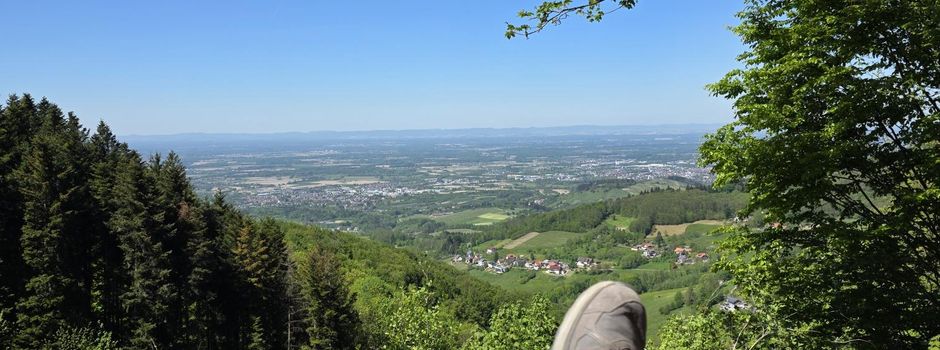 Wohlfühlliege