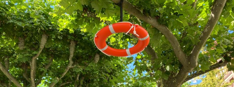 Warum in Wiesbaden Rettungsringe in den Bäumen hängen