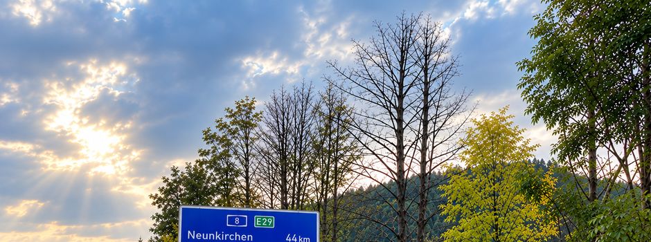 Baumfällarbeiten entlang der A8 und der Weiheranlage Rehlingen