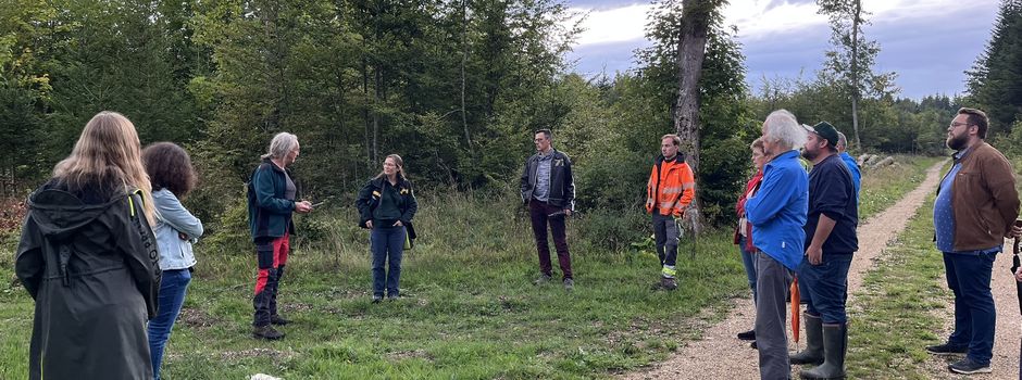 Zukunft des Gemeindewaldes: Widerstandsfähigkeit im Fokus