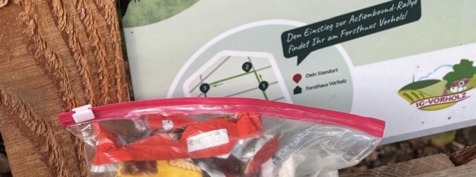 Zweckentfremdung am Waldlehrpfad im Vorholz: Lernstationen als Mülleimer missbraucht