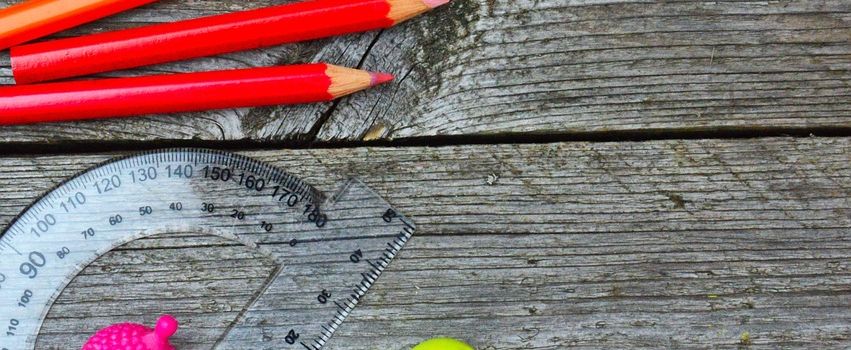 Stellenausschreibung - Bundesfreiwilligendienst für das Schuljahr 2026/2027